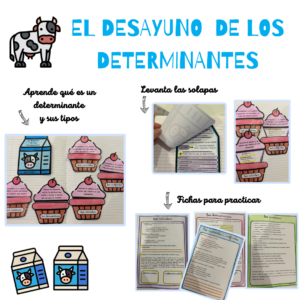 determinantesseo.png