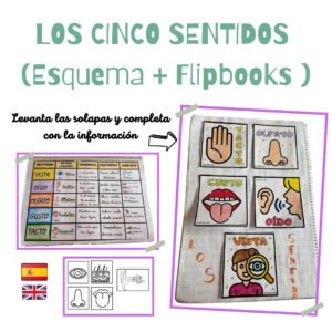 loscincosentidos.jpg